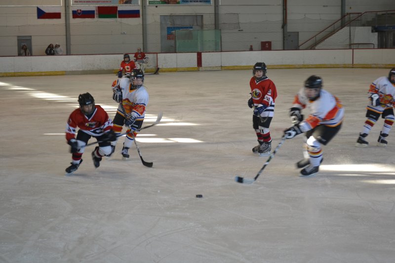 Fotogaléria Medzinárodný hokejový turnaj žiakov 5. ročníka International Cup Partizánske 2012 (1.-3.2.2012) (13) Medzinárodný hokejový turnaj žiakov 5. ročníka International Cup Partizánske 2012 (1.-3.2.2012)