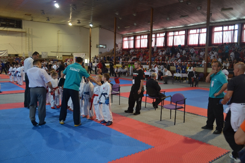 Fotogaléria Majstrovstvá SR v karate detí a mládeže (19.5.2012) (29) Majstrovstvá SR v karate detí a mládeže (19.5.2012)